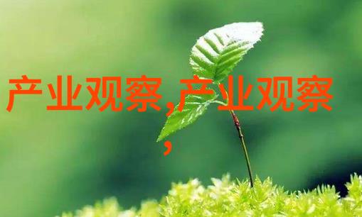 平凡而又伟大的父爱 电影与父与子618父亲节治愈上映