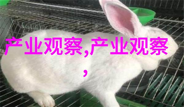 Angelababy红衣古风写真曝光 衣袖遮面双目含情